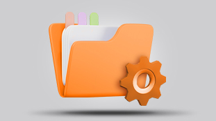 Gestão de Assets